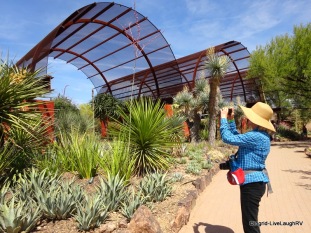 Phoenix Desert Botancial Garden
