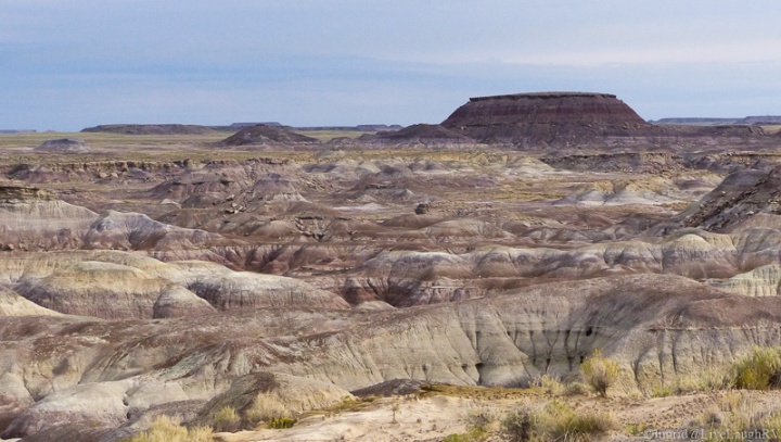 From the north entrance, we travel through an area called. "Painted Desert".