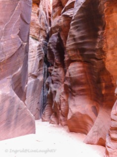 Wire Pass Canyon