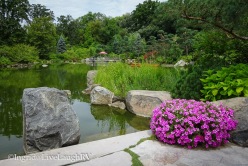 Japanese Garden in Rockford, Illinois