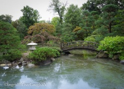 Japanese Garden In Rockford Illinois
