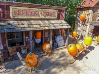 Enchanted Pumpkin Garden Carefree, AZ