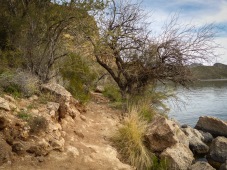hiking near the shore of Saguaro Lake