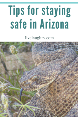 tips for staying safe in the Arizona desert, what to do when you see a rattlesnake in Phoenix