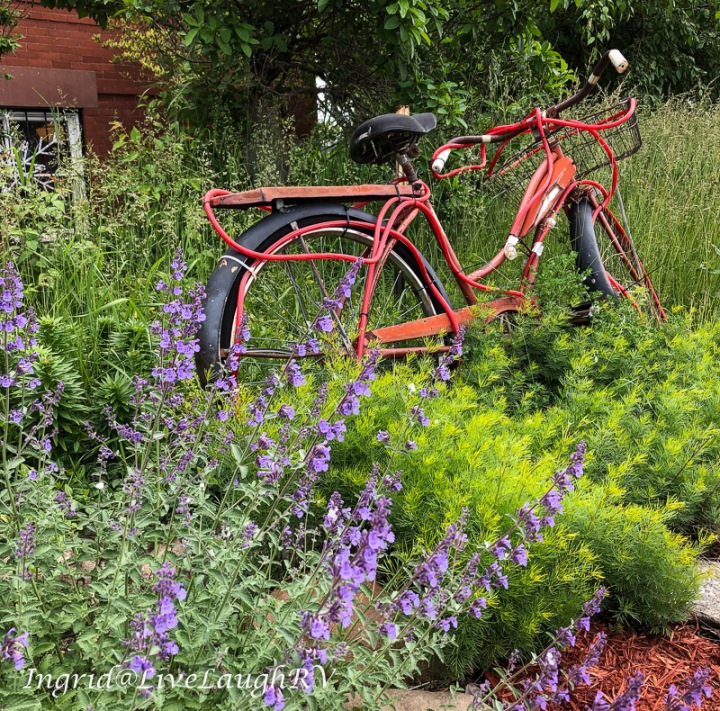 old bicycle in a flower garden